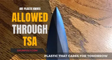 Plastic Knives: TSA Rules and Regulations