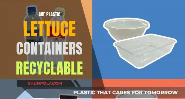 Are Plastic Lettuce Containers Recyclable?