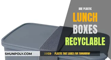 Unraveling the Mystery: Can Plastic Lunch Boxes Be Recycled?