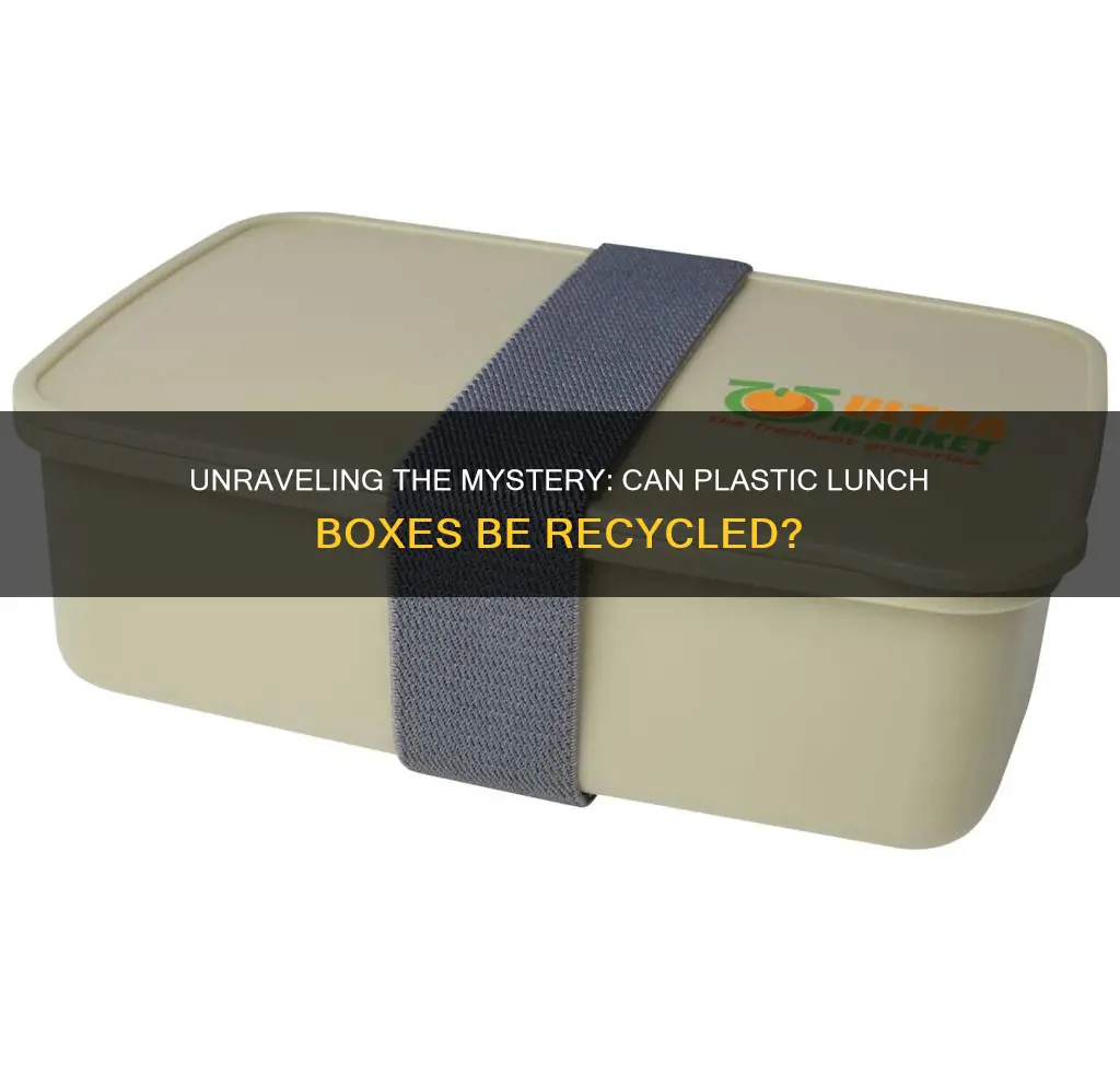 are plastic lunch boxes recyclable