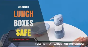 Unveiling the Truth: Are Plastic Lunch Boxes Safe for You?
