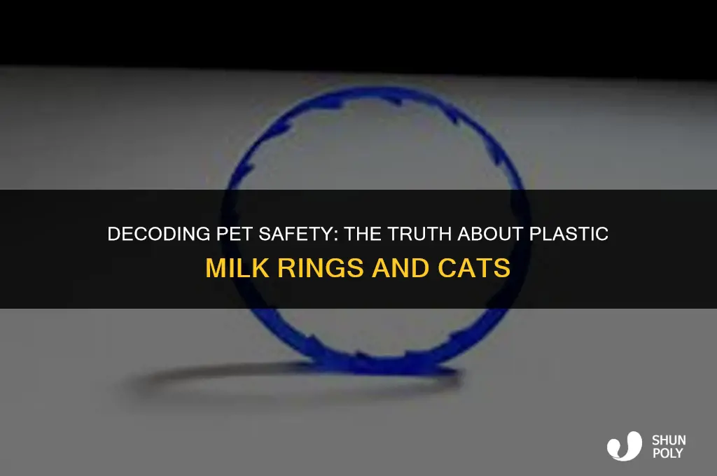 are plastic milk rings safe for cats