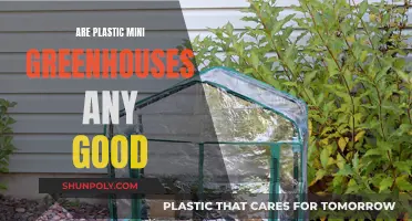 Mini Greenhouses: Are Plastic Options Worthwhile?