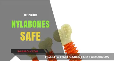 Decoding Dog Dental Care: The Truth About Plastic Nylabones
