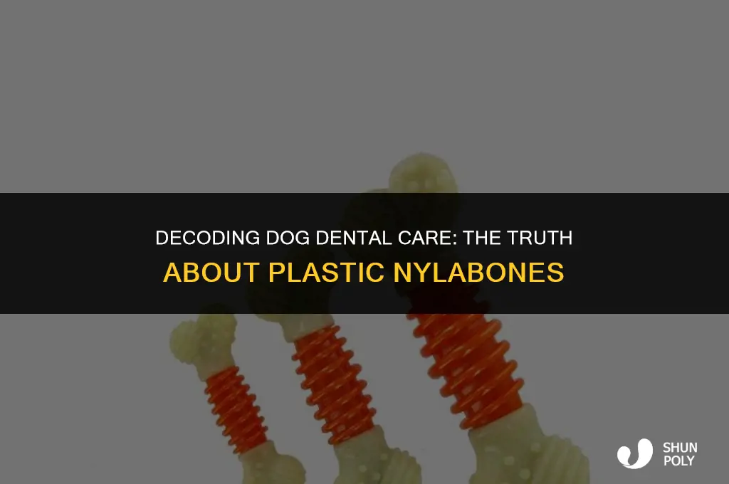 are plastic nylabones safe