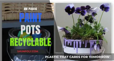 Unleash the Power of Plastic Paint Pots: Can They Be Recycled?