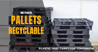 Unraveling the Mystery: Can Plastic Pallets Be Recycled?