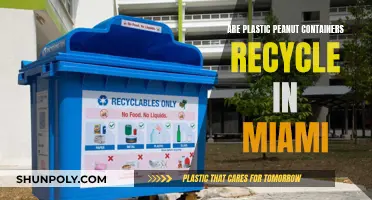 Miami's Plastic Peanut Container Recycling: A Guide to Green Practices