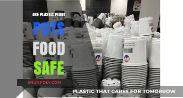 Exploring the Safety of Plastic Plant Pots for Food Use