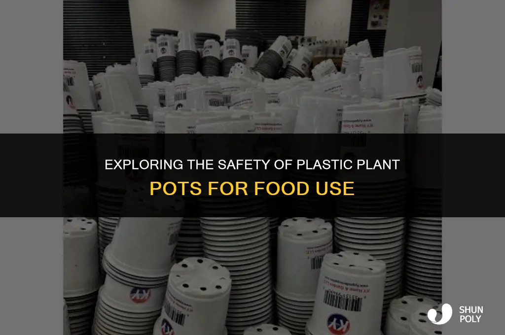 are plastic plant pots food safe