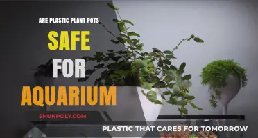 Exploring the Safety of Plastic Plant Pots in Aquariums
