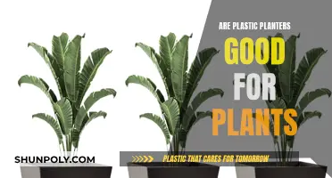 Plastic Planters: Good or Bad for Your Plants?