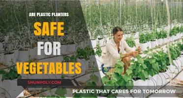 Exploring the Safety of Plastic Planters for Growing Vegetables