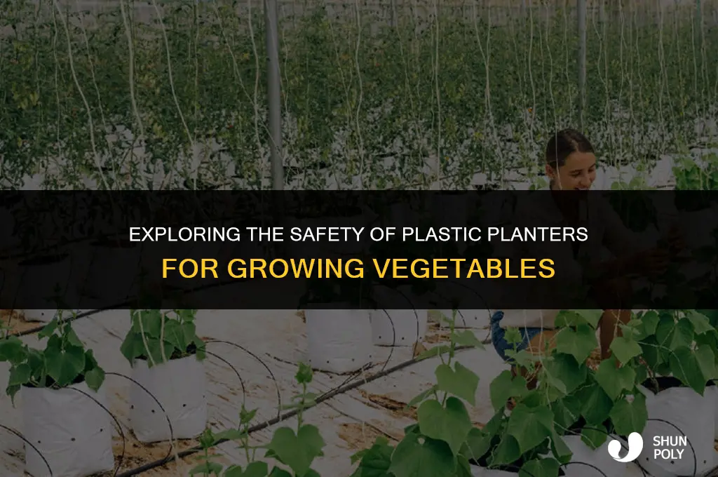 are plastic planters safe for vegetables