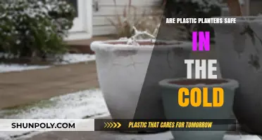 Chilly Weather and Plastic Planters: A Safety Guide