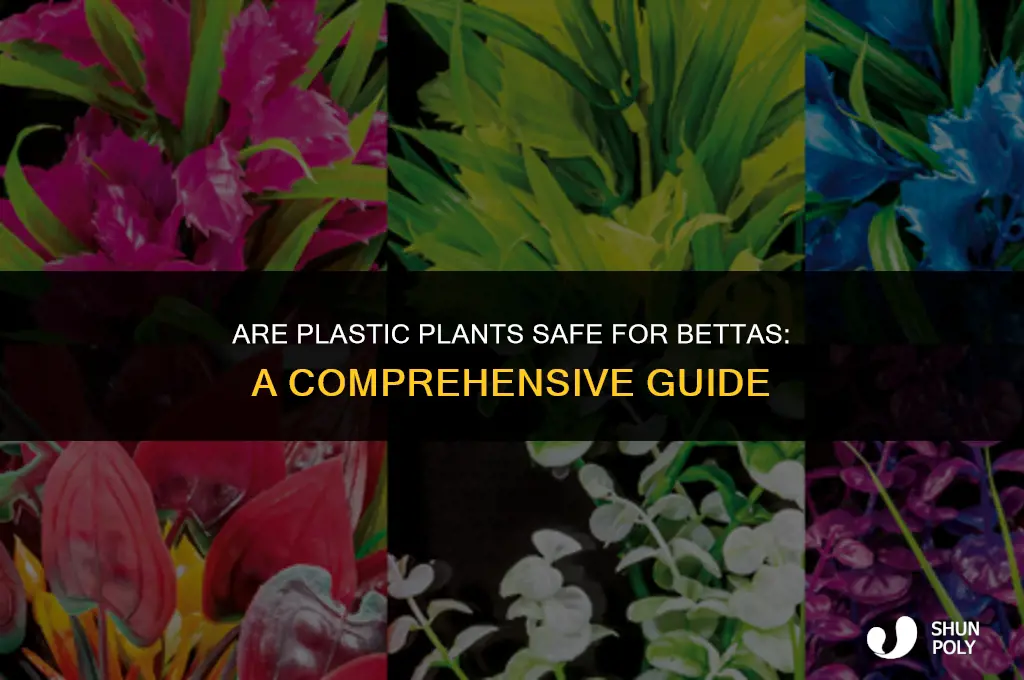 are plastic plants safe for bettas