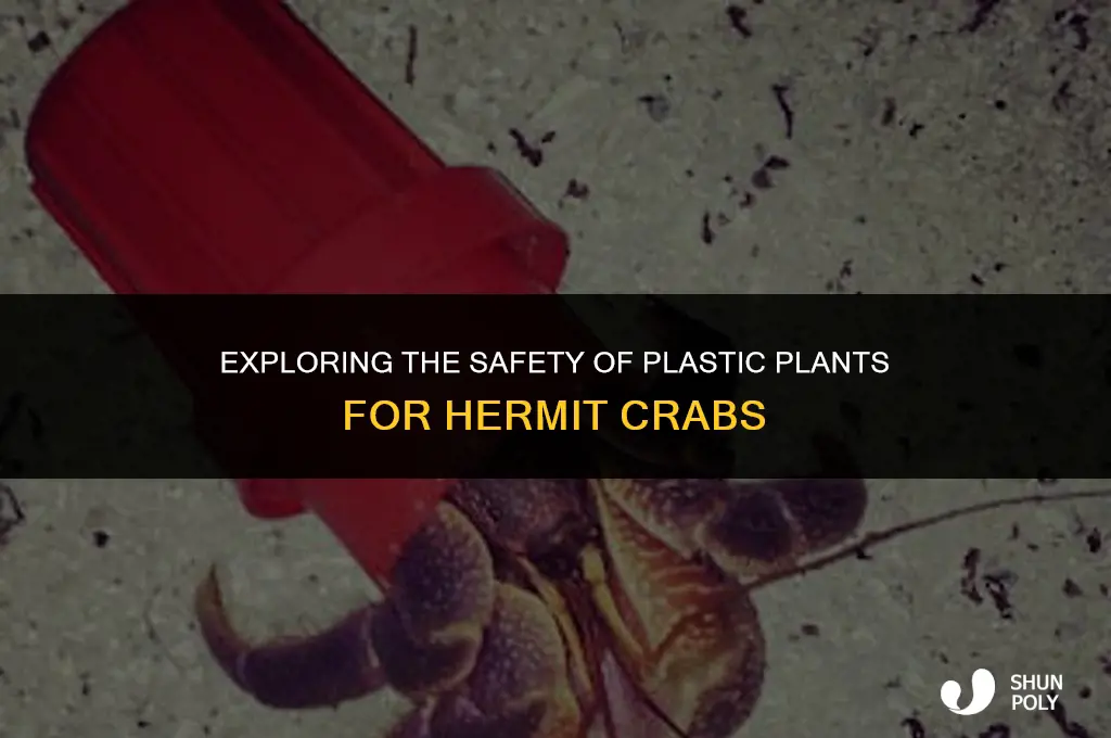 are plastic plants safe for hermit crabs