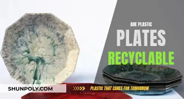 Unraveling the Mystery: Can Plastic Plates Be Recycled?