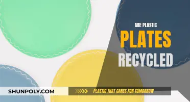 The Surprising Truth: Do Plastic Plates Get Recycled?