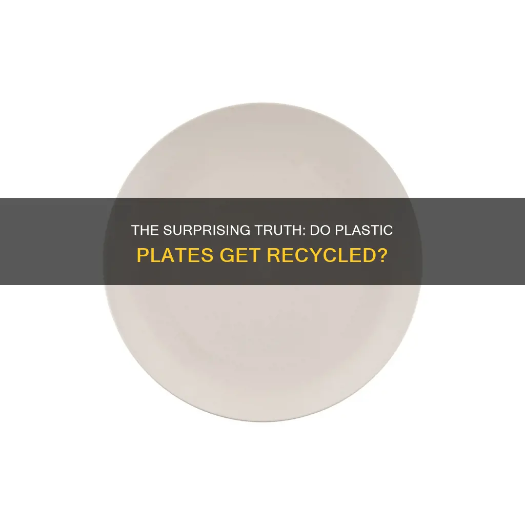 are plastic plates recycled