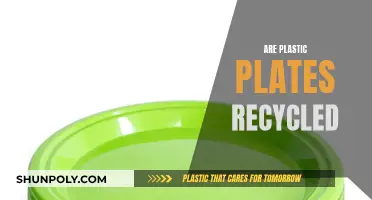 Plastic Plates: Can They Be Recycled?