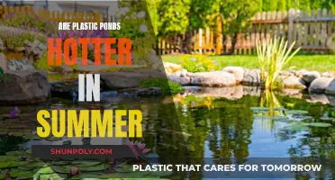 Plastic Ponds: Summer Heat and Its Impact