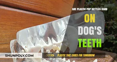 Can Plastic Pop Bottles Harm Your Dog's Teeth? Find Out