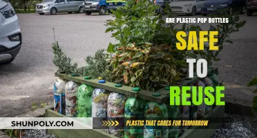 Reusing Plastic Pop Bottles: Safety Concerns and Best Practices Explained