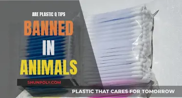 Plastic Q-tips: Harmful to Animals, Time for a Ban?