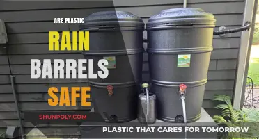 Sustainable Water Collection: The Safety of Plastic Rain Barrels