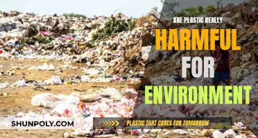 Plastic's Harmful Impact: Environmental Threat or Exaggerated Fear?