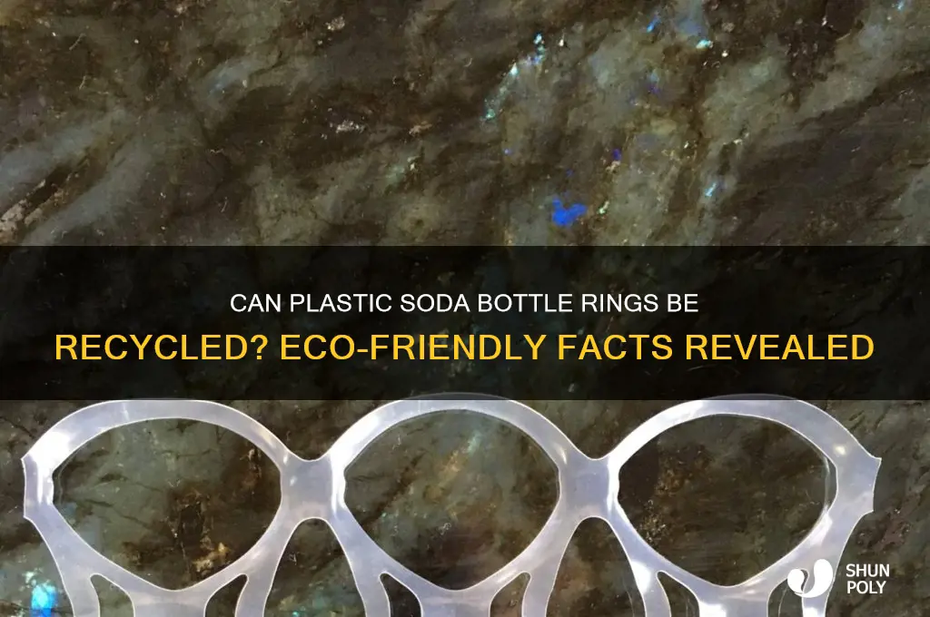 are plastic rings around soda bottles recycleable