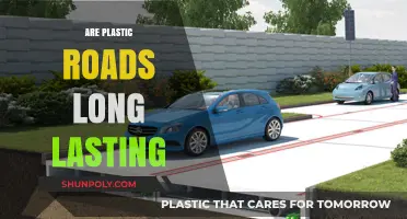 Durability Unveiled: The Longevity of Plastic Roads Explored