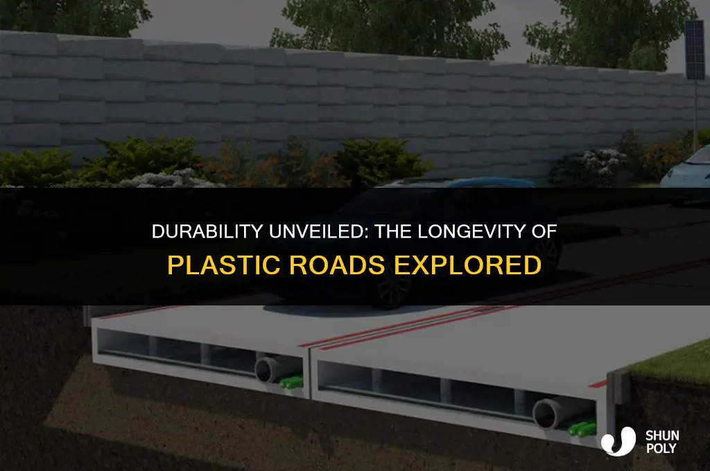 are plastic roads long lasting
