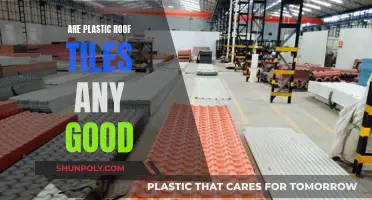 Plastic Roof Tiles: Worth the Hype?