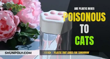 Plastic Roses: Are They Harmful to Cats?
