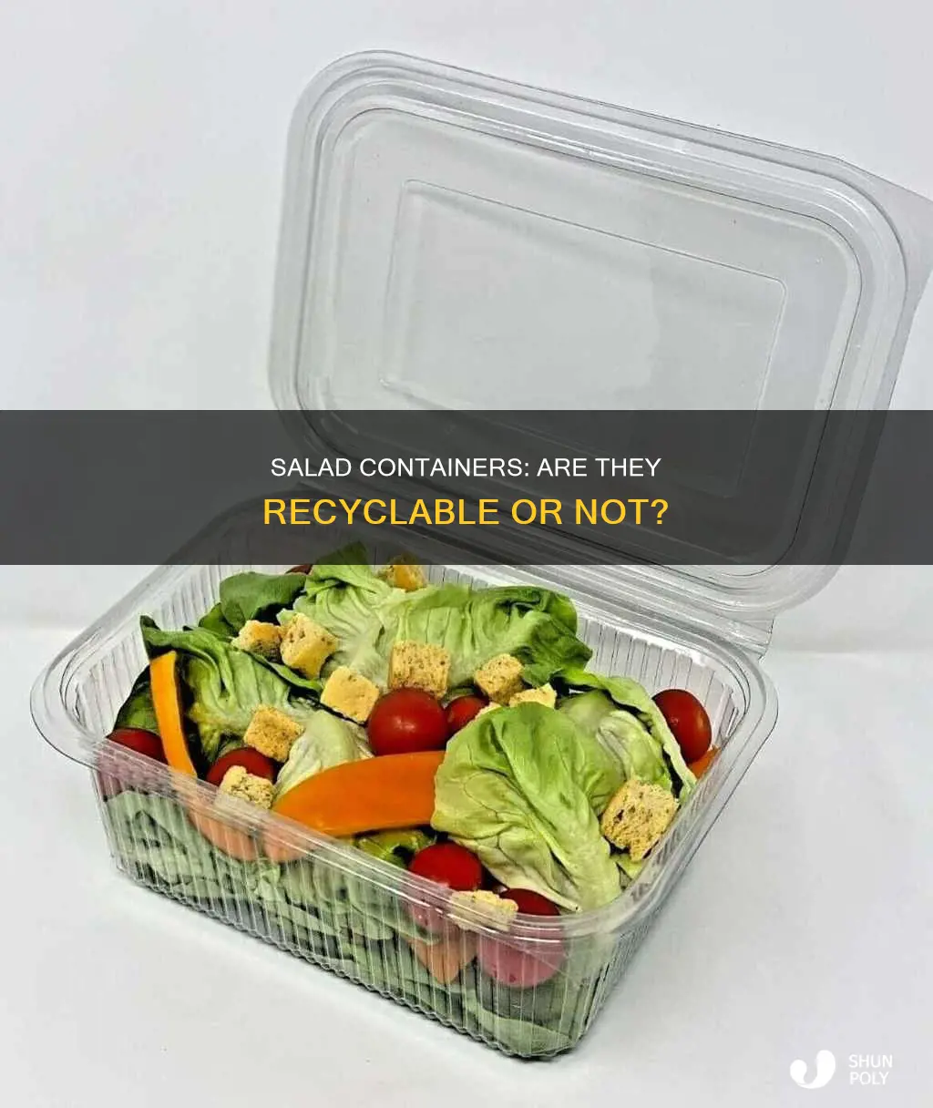 are plastic salad containers recyclable republic waste