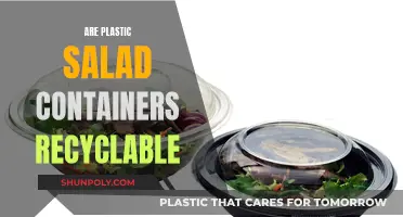 Unraveling the Mystery: Can Plastic Salad Containers Be Recycled?