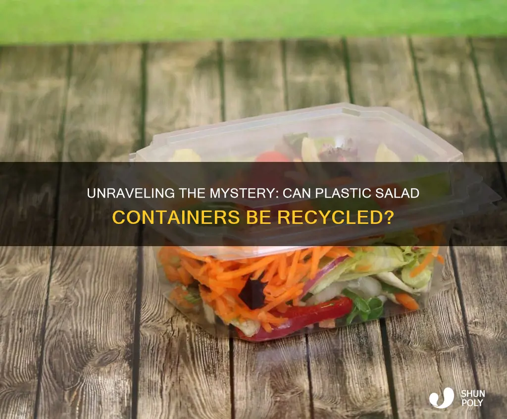 are plastic salad containers recyclable