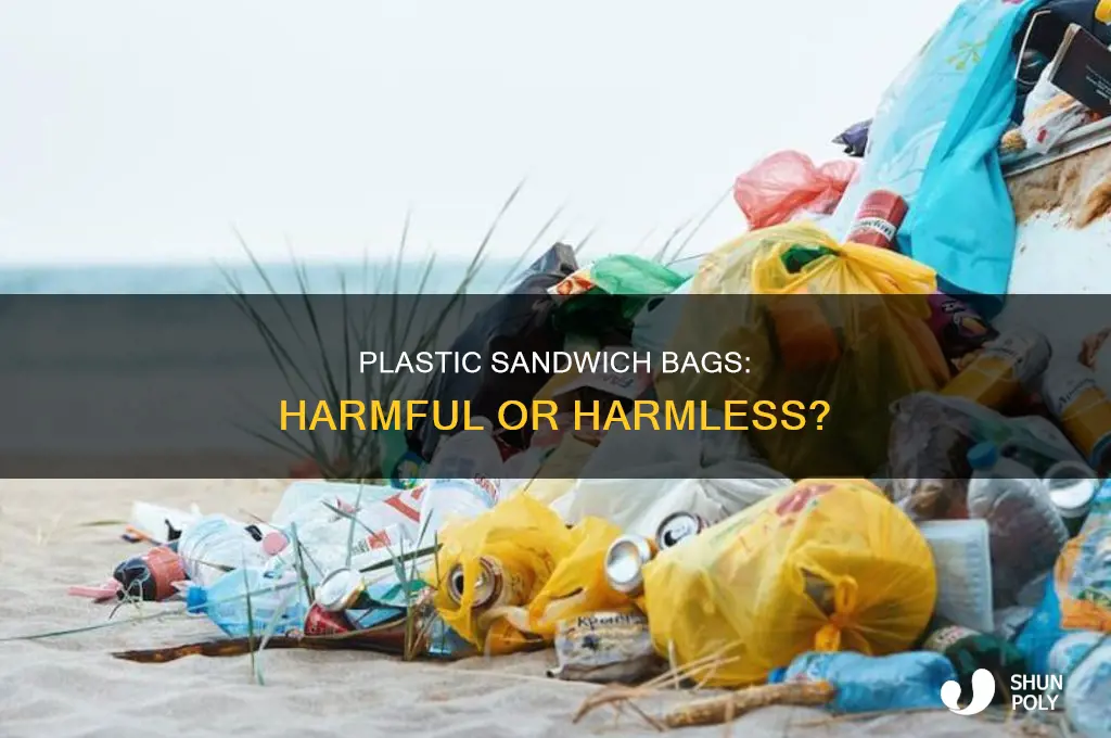 are plastic sandwich bags an issue