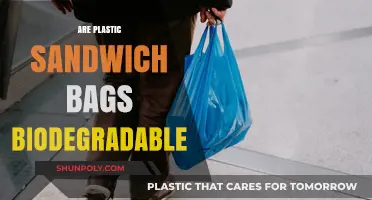 Plastic Sandwich Bags: Biodegradable or Not?