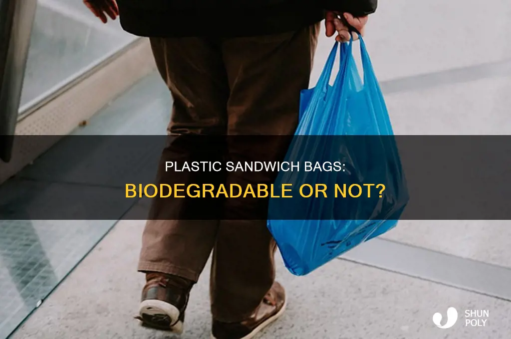 are plastic sandwich bags biodegradable