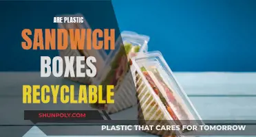 Unraveling the Mystery: Can Plastic Sandwich Boxes Be Recycled?