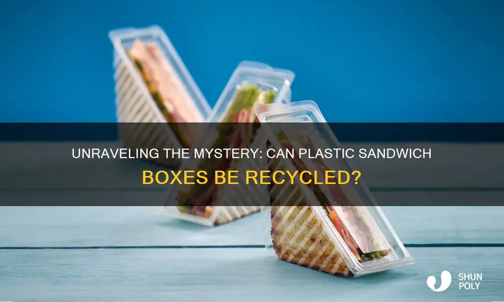 are plastic sandwich boxes recyclable