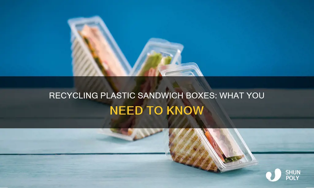 are plastic sandwich boxes recyclable