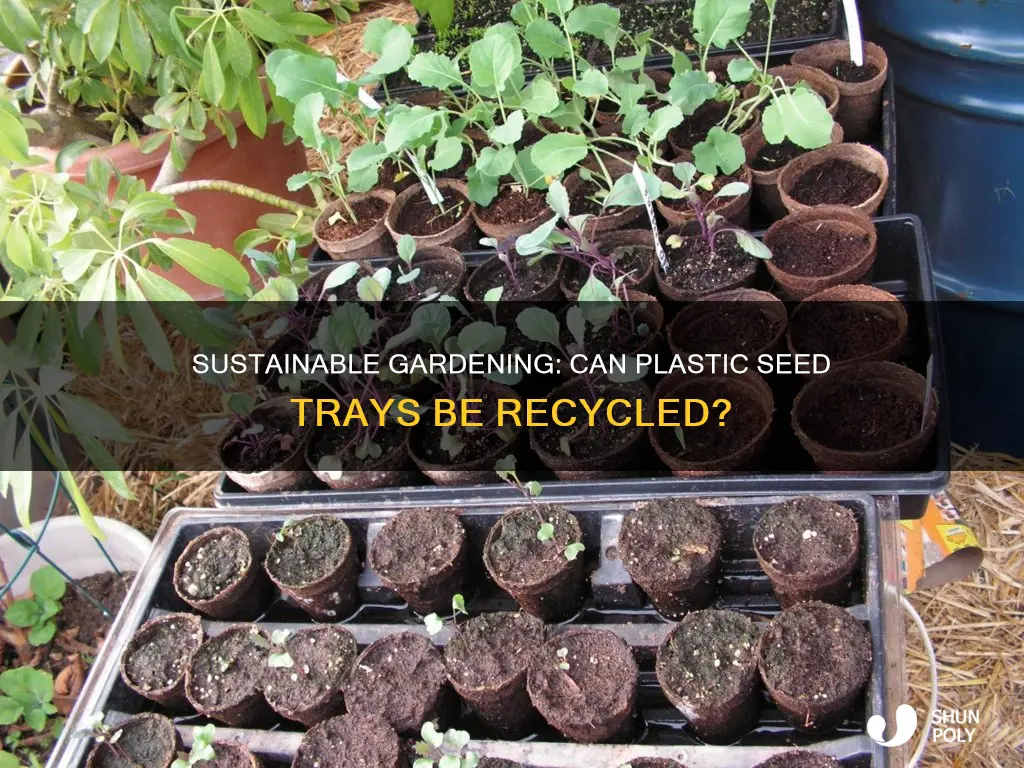 are plastic seed trays recyclable