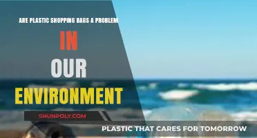 Plastic Shopping Bags: Environmental Disaster or Necessary Evil?