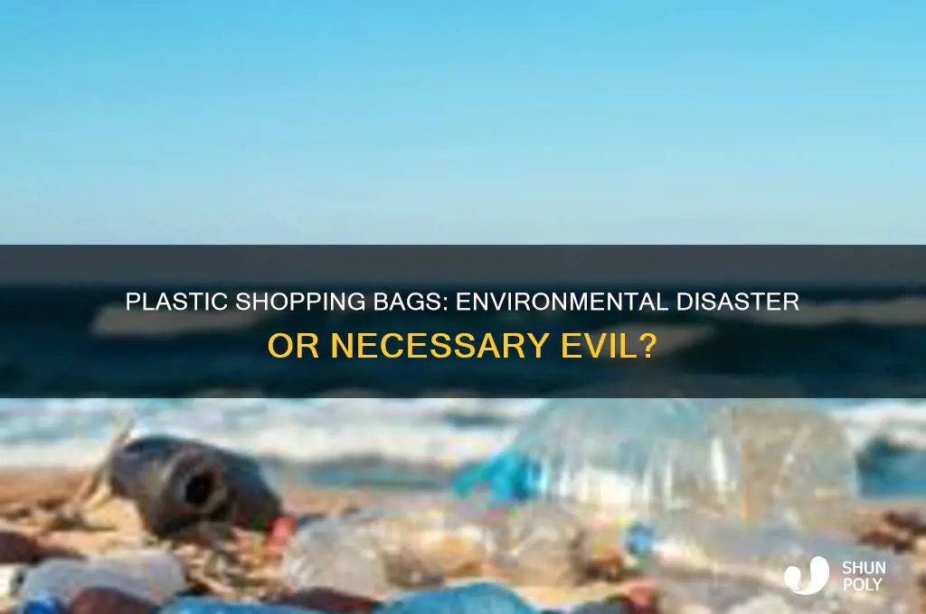 are plastic shopping bags a problem in our environment