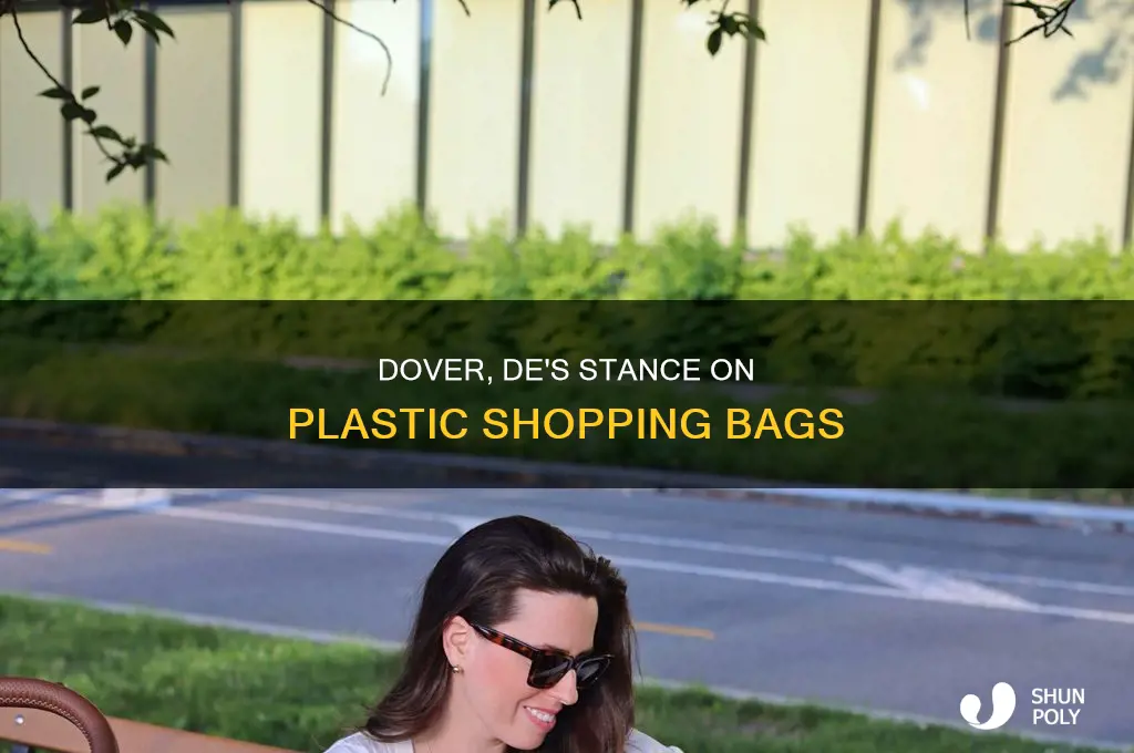 are plastic shopping bags legal in dover de