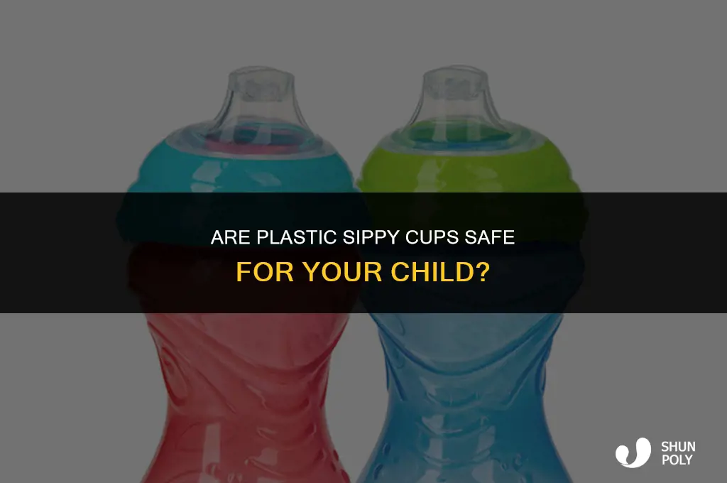 are plastic sippy cups safe